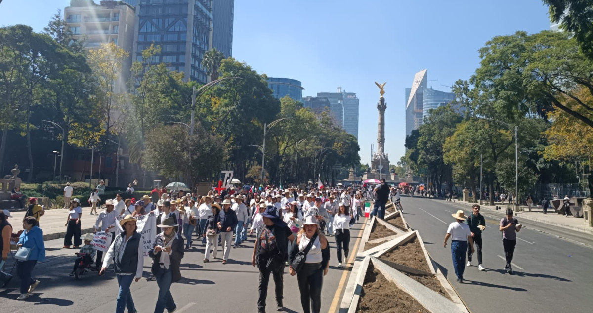 "Estamos cansados de tanta muerte", dice michoacano en la Marcha de la Generación Z