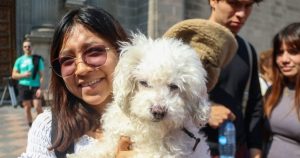 Una investigación analizó cómo tener mascotas en los primeros años de vida puede relacionarse con aspectos del bienestar emocional y conductual en la infancia.