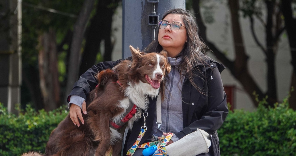 Perder de vista a tu mascota es uno de los momentos más angustiantes, pero en la CdMx puedes pedirle ayuda a la Agatan para localizarla de forma más sencilla.