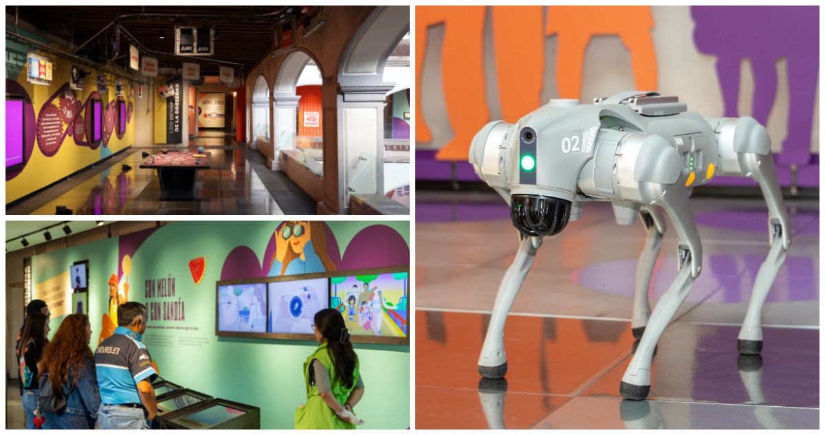 El MIDE reabrió sus puertas