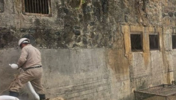 Rio Cazones Poza Rica