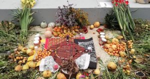 Desde tiempos ancestrales, la humanidad ha recurrido a elementos naturales para mantener y recuperar la salud.