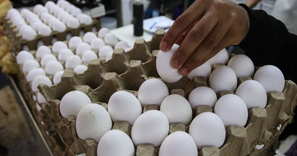 Seguramente alguna vez te has dispuesto a beber de un vaso recién lavado y, para tu sorpresa, has notado un desagradable olor a huevo. ¿Por qué ocurre?
