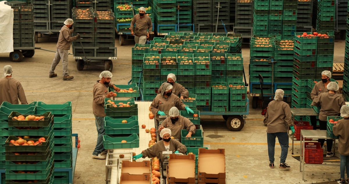 La actividad económica en México se vio impulsada en octubre de este año sobre todo por el sector primario.