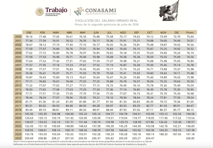 Datos de la evolución del salario mínimo diario. Foto: Captura de pantalla