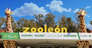 Cierran Zooleón