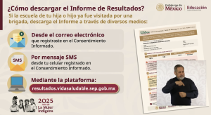 ¿Cómo descargar los resultados del diagnóstico de salud de los niñxs de primaria?