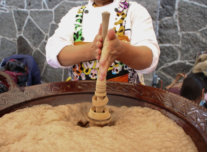 El Festival del maíz y el cacao, cuyo comestible podría retrasar el envejecimiento biológico.