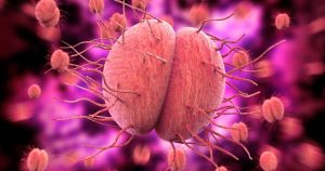 Un estudio publicado en The Lancet indica que la zoliflodacina, un antibiótico de dosis única, mostró ser eficacia en el tratamiento de la gonorrea urogenital.