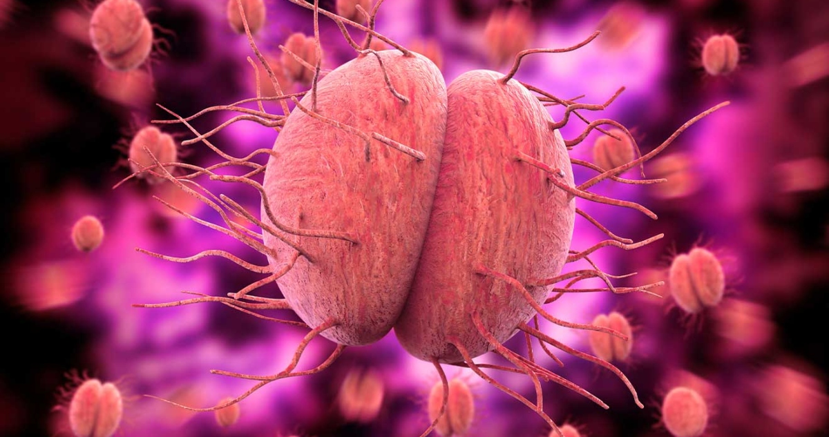 Un estudio publicado en The Lancet indica que la zoliflodacina, un antibiótico de dosis única, mostró ser eficacia en el tratamiento de la gonorrea urogenital.