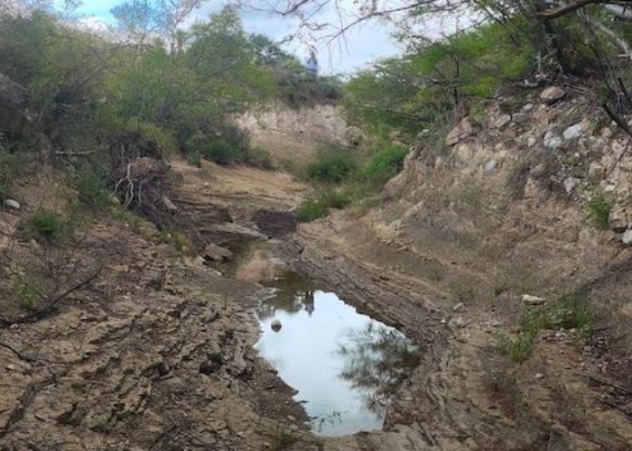 Especialistas del Instituto Nacional de Antropología e Historia (INAH) descubrieron huellas de dinosaurio en el municipio de Tehuacán, Puebla.