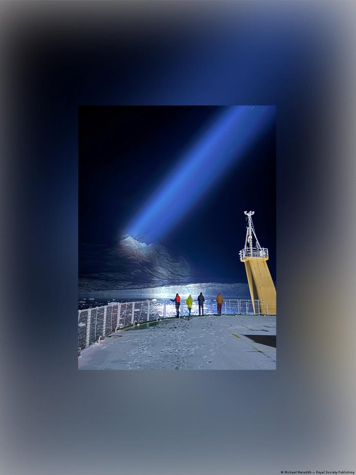 Un hilo microscópico conquista el Concurso de Fotografía 2025