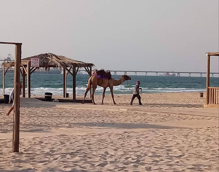 De acuerdo con testigos citados por CNN, las fuerzas israelíes abrieron fuego contra palestinos hambrientos que rodearon un camión de ayuda humanitaria.