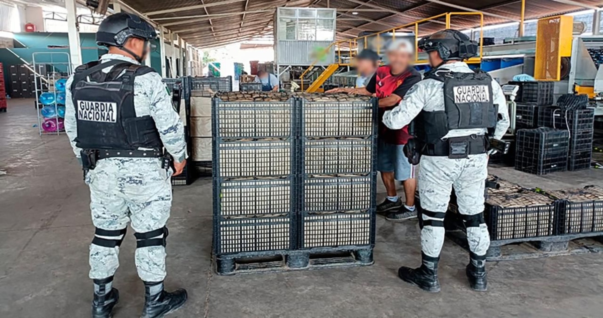 El Gabinete de Seguridad detuvo a 10 personas en Michoacán.