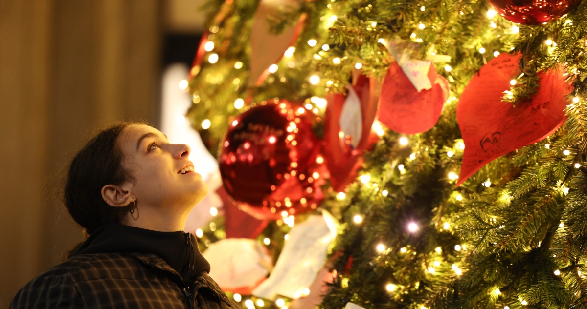 La decoración navideña influye directamente en el estado de ánimo de las personas y llega a influir en sus comportamientos de compra, advierte un experto.