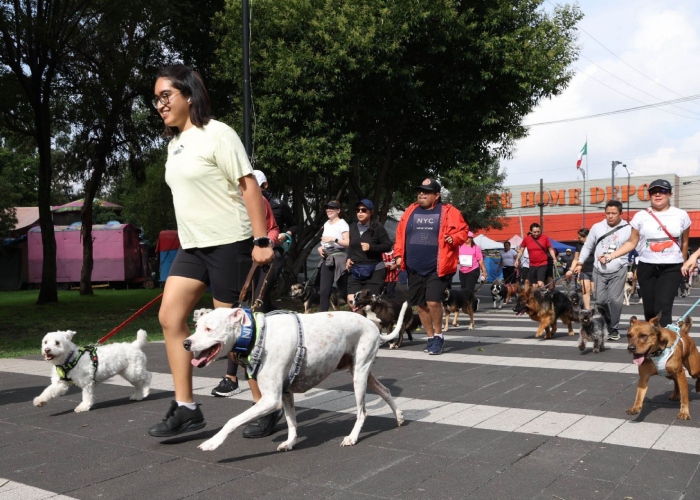 Un nuevo estudio reveló que los perros provocan cambios microbianos de nuestro cuerpo, lo que da como resultado una mejora de la salud mental en adolescentes. 