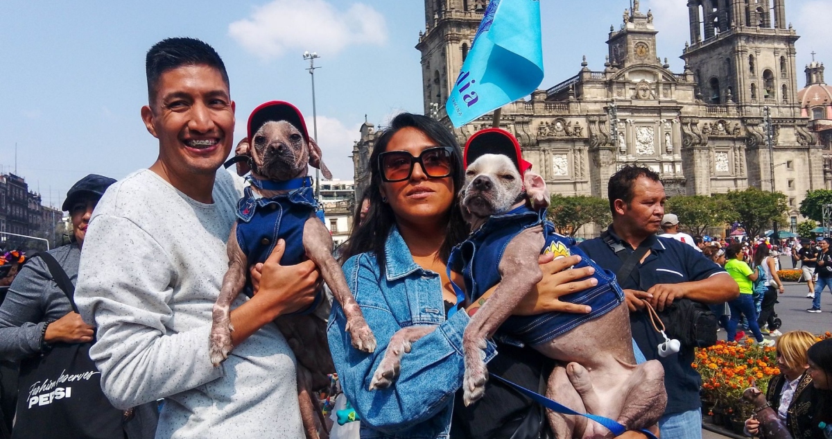 Un nuevo estudio reveló que los perros provocan cambios microbianos de nuestro cuerpo, lo que da como resultado una mejora de la salud mental en adolescentes.