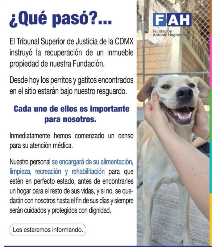 Tribunal de la CdMx ordena cuidado animal.