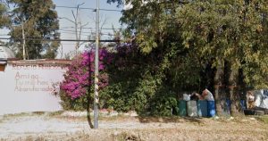 El Tribunal Superior de Justicia de la Ciudad de México (TSJ-CdMx) ordenó recuperar un inmueble en la México-Toluca que era ocupado como albergue de animales.