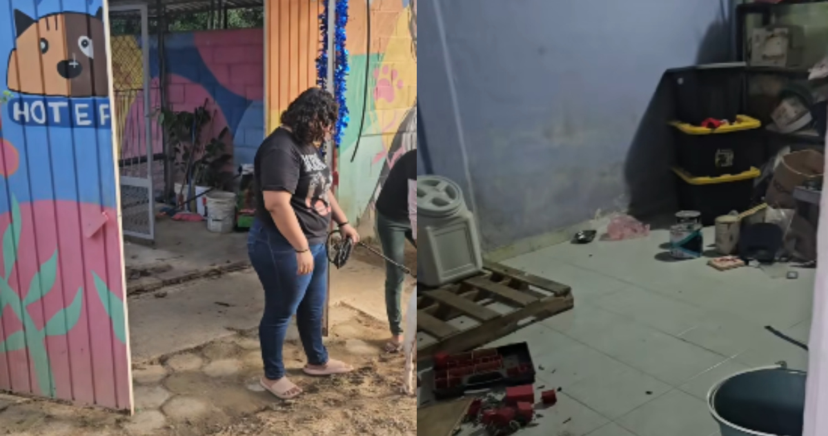 Santana contó que al llegar por la mañana de este viernes encontraron el portón abierto del refugio y se percataron del saqueo. Las imágenes muestran que los criminales apenas dejaron una bolsa de croquetas semivacía.