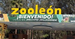 Ante el ocultamiento de información y la muerte de animales en el Zoológico de León, un Diputado de Morena en el Congreso de Guanajuato exigió una auditoría.