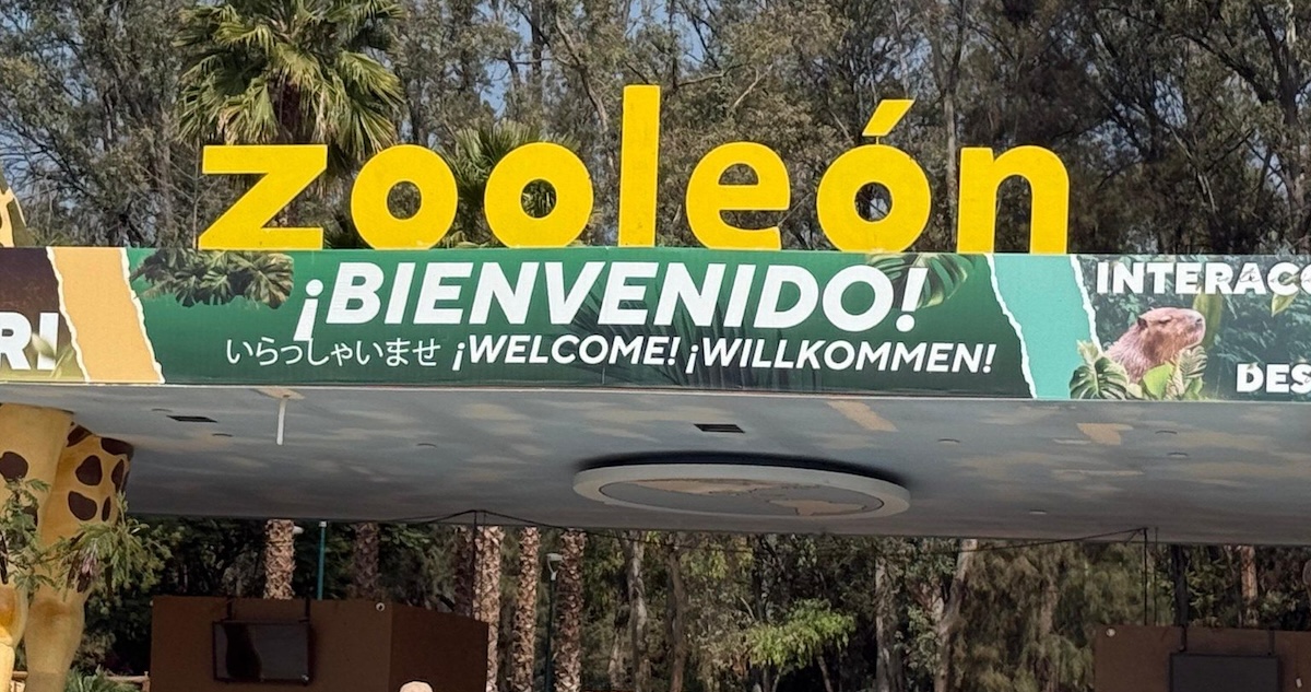 Ante el ocultamiento de información y la muerte de animales en el Zoológico de León, un Diputado de Morena en el Congreso de Guanajuato exigió una auditoría.