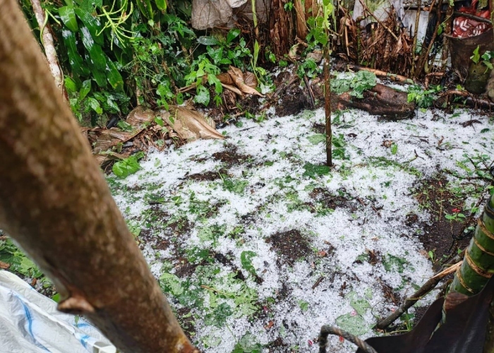 La Comisión Nacional de Áreas Naturales Protegidas cerró temporalmente el acceso a la Reserva de la Biosfera del Volcán Tacaná en Chiapas por el clima extremo.