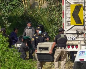 El operativo para rescatar a los animales se llevó a cabo este miércoles.