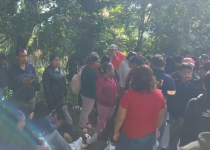 La Secretaría de Protección Civil de Veracruz informó que un autobús de pasajeros se desbarrancó en el Municipio de Naranjal que dejó 30 lesionados.