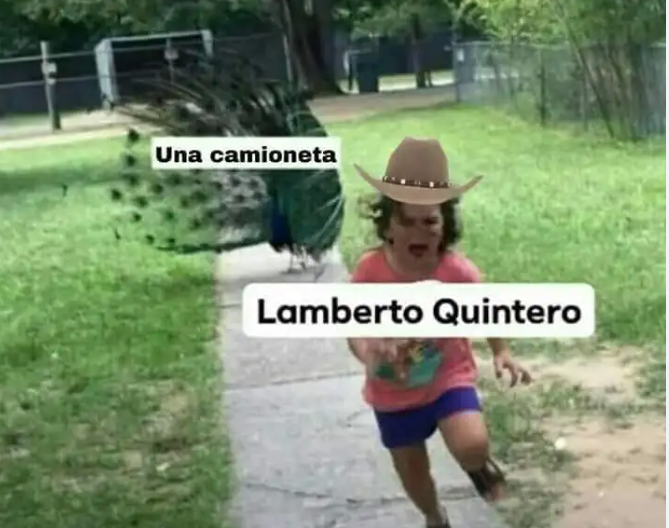 Lamberto Quintero memes