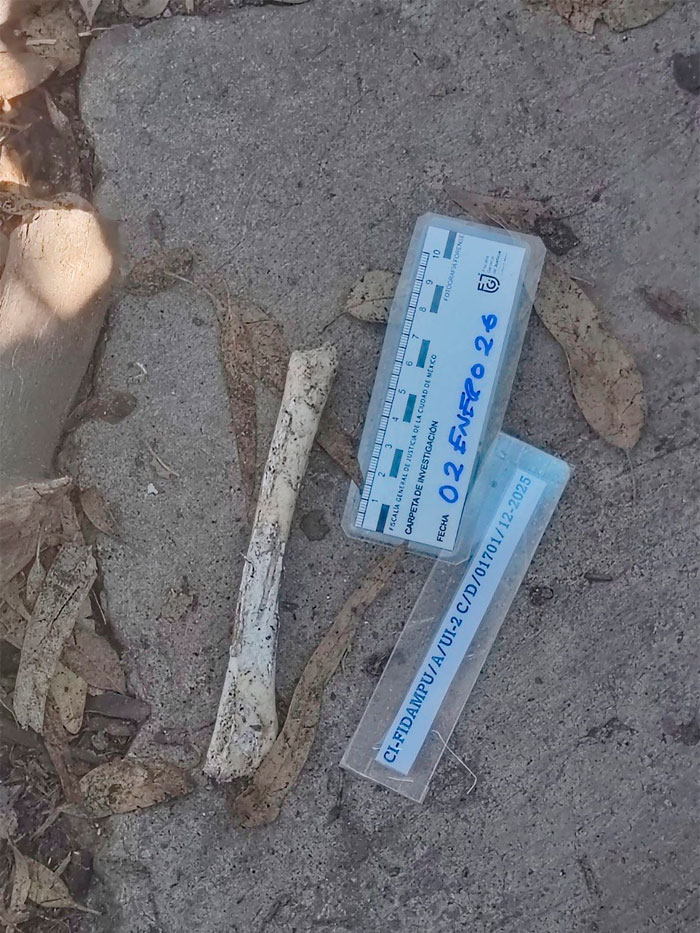 Maltrato, mala alimentación y ahora, cementerio clandestino en albergue de CdMx