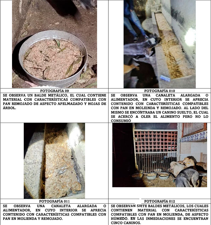 Maltrato, mala alimentación y ahora, cementerio clandestino en albergue de CdMx