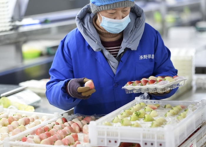 China anunció el mayor superávit comercial del mundo en su historia. Una gigantesca ola de sus exportaciones inundaron los mercados durante el año pasado.