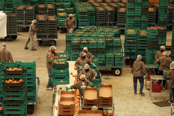 El sector exportador de EU y Canadá está sufriendo mientras se acomoda a la nueva normalidad. En cambio, las exportaciones de México están en auge.