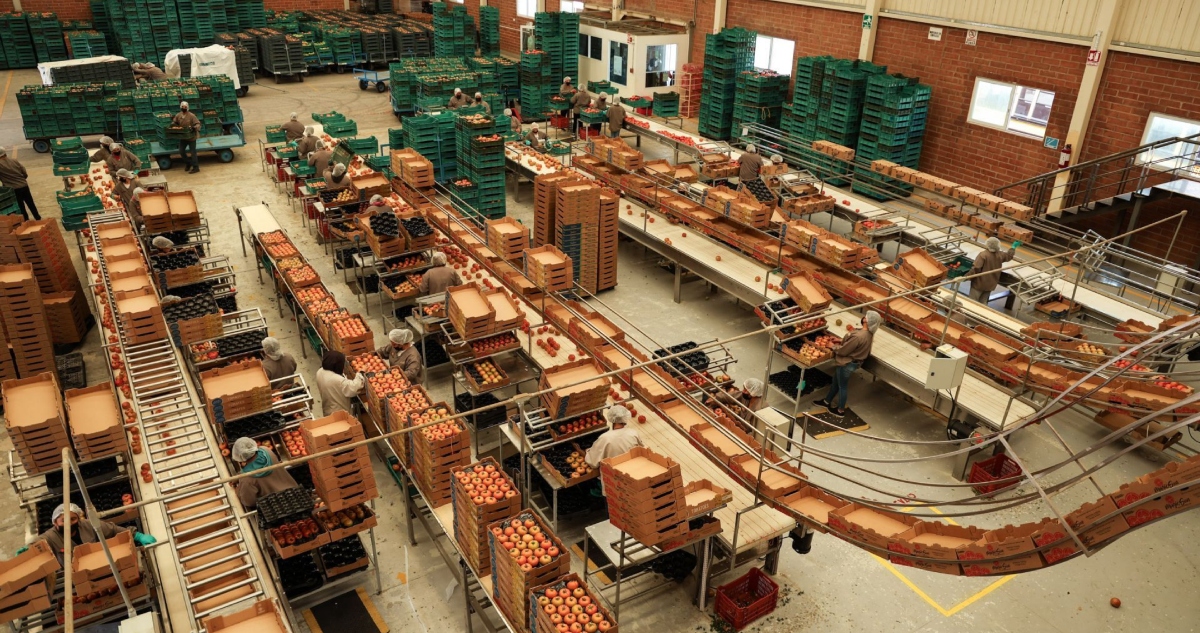 El sector exportador de EU y Canadá está sufriendo mientras se acomoda a la nueva normalidad. En cambio, las exportaciones de México están en auge.