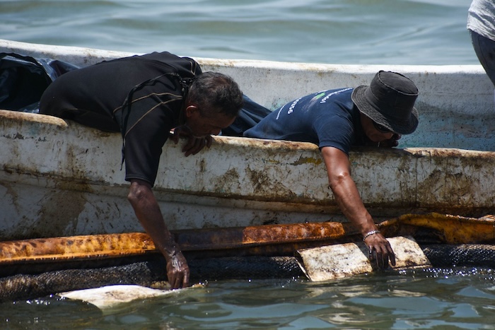 Expertos de la UNAM colaborarán con la Semarnat para diseñar una estrategia eficaz para atender los derrames de combustible en las costas de Campeche.