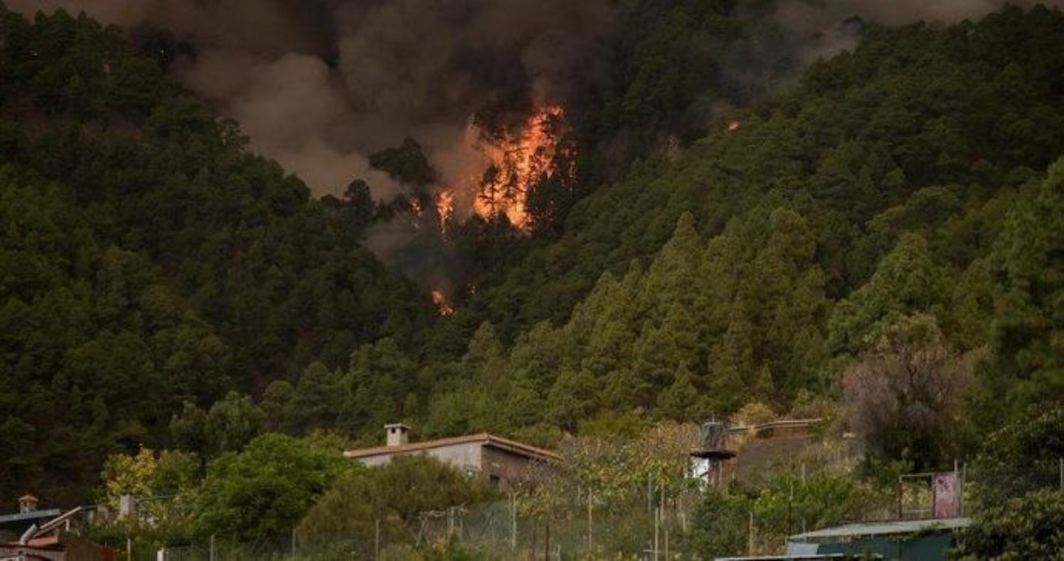 Las personas expuestas al humo de los incendios forestales tienen mayor riesgo de sufrir un derrame cerebral, según una investigación de la Universidad Emory.