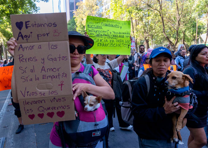 Marchan en CdMx a favor del Refugio Franciscano