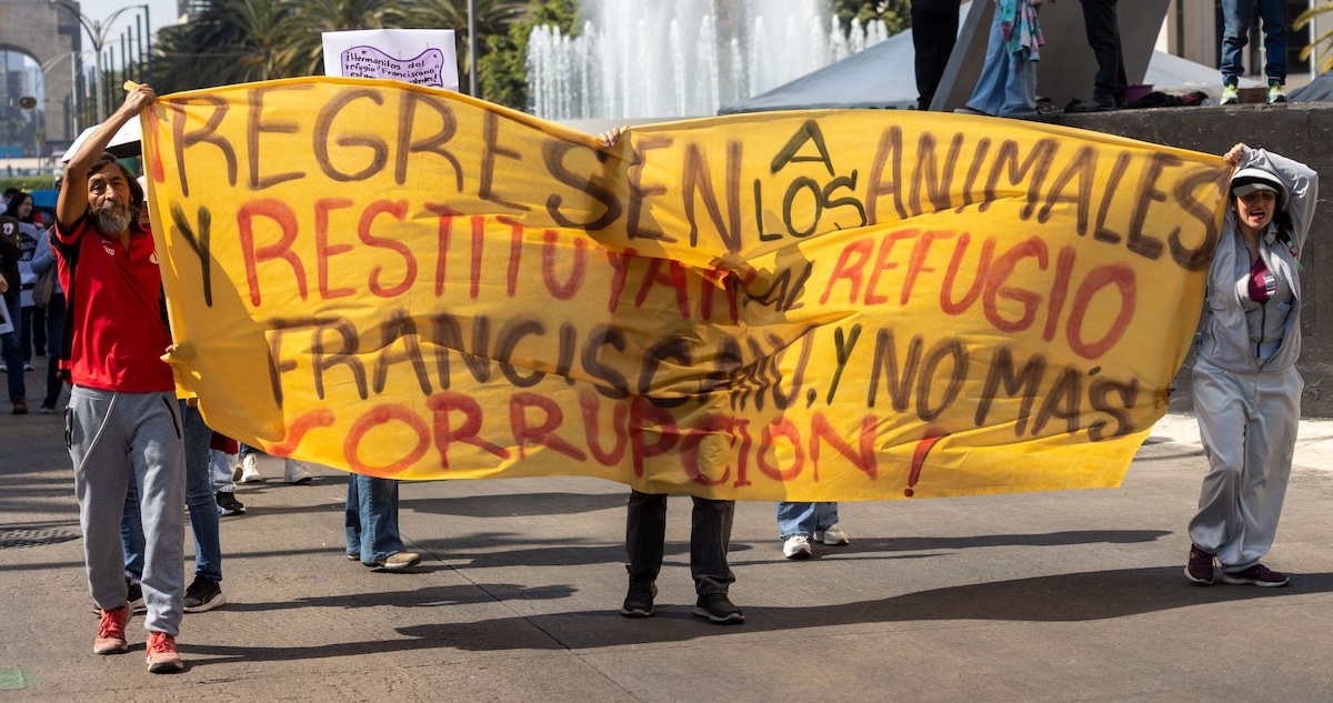 Se llevó a cabo una marcha en apoyo al Refugio Franciscano en la CdMx luego de que autoridades capitalinas intervinieron para rescatar a más de 850 perros.