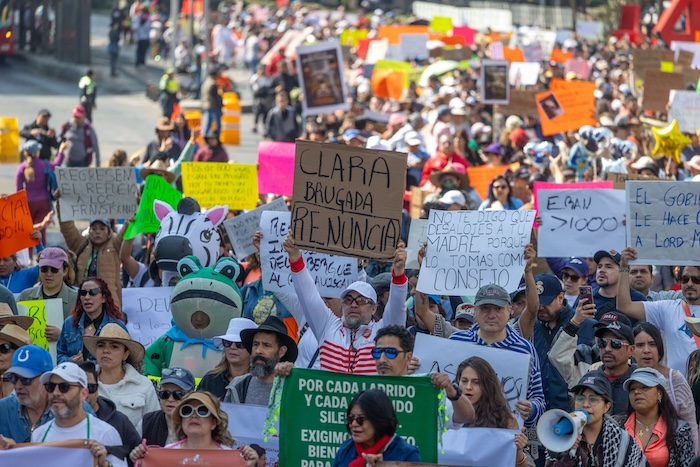 Se llevó a cabo una marcha en apoyo al Refugio Franciscano en la CdMx luego de que autoridades capitalinas intervinieron para rescatar a más de 850 perros.