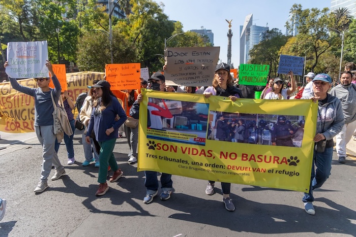 Se llevó a cabo una marcha en apoyo al Refugio Franciscano en la CdMx luego de que autoridades capitalinas intervinieron para rescatar a más de 850 perros.