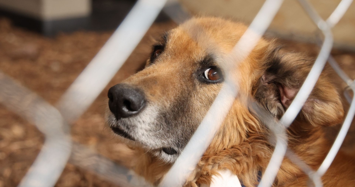 Jueza de la CdMx es acusada de "chicanada legal".