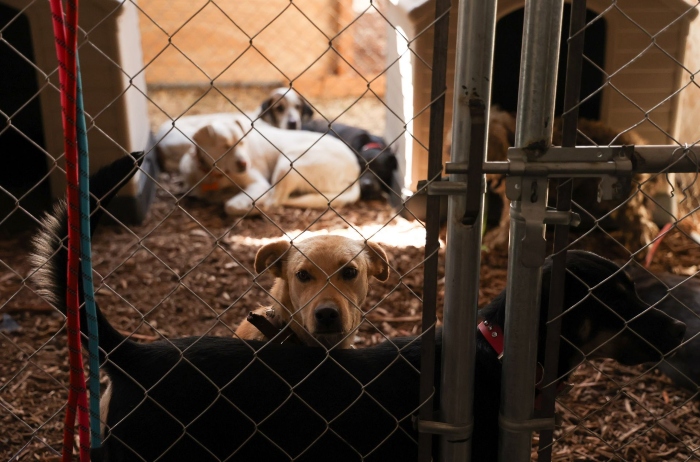 Jueza ordena devolución de predio a Refugio Franciscano.