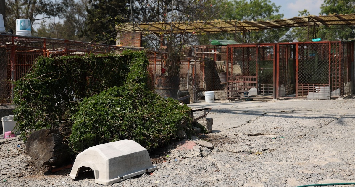 Integrantes de la asociación civil Refugio Franciscano tomaron posesión del albergue gracias a una resolución judicial que ordena la devolución del predio.