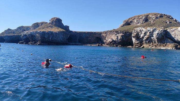 Snorkel en Nayarit