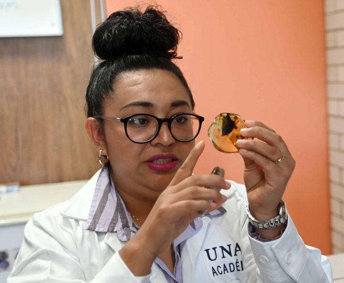 Científicos de la UNAM identificaron en Chiapas una nueva especie extinta de árbol productor de resina