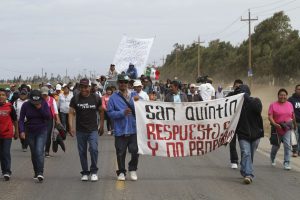 Jornaleros de San Quintín, Baja California, en una marcha por la carretera Transpeninsular para exigir mejores salarios: FOTO: Cuartoscuro.