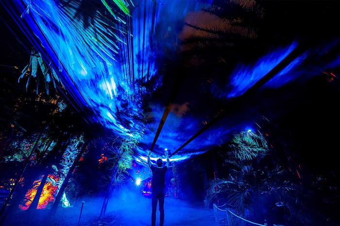 Experiencia Alicia en el país de las maravillas