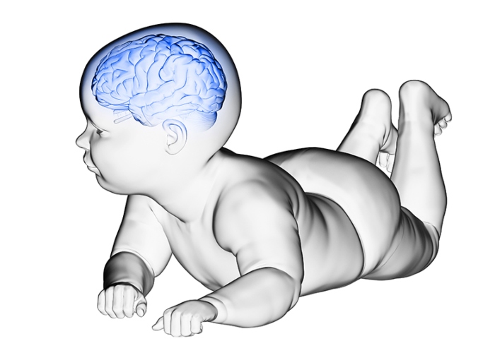 Los bebés de tan sólo dos meses de edad ya son capaces de categorizar distintos objetos en sus cerebros, mucho antes de lo que se creía.