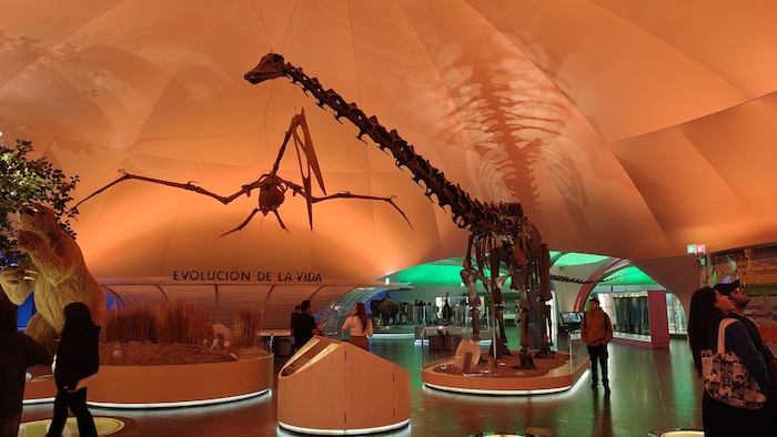 Museo Historia Natural y cultura ambiental